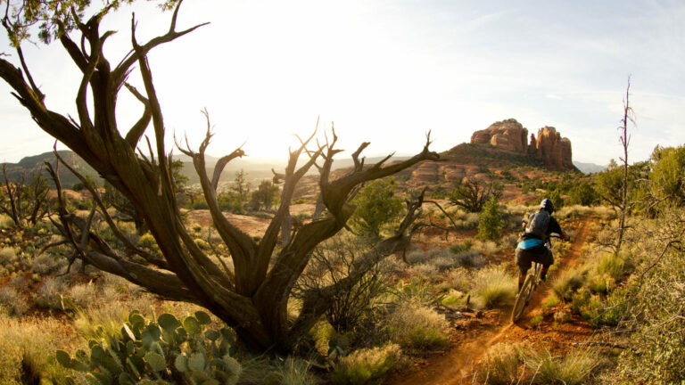 Sedona sunset and singletrack