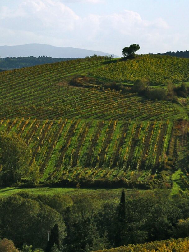 Mountain biking in Europe