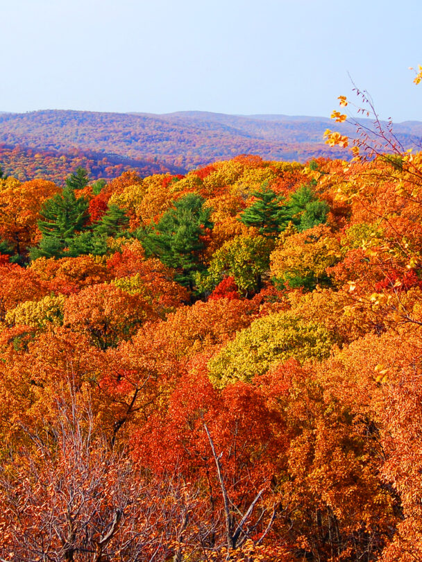 bear mountain state park hiking