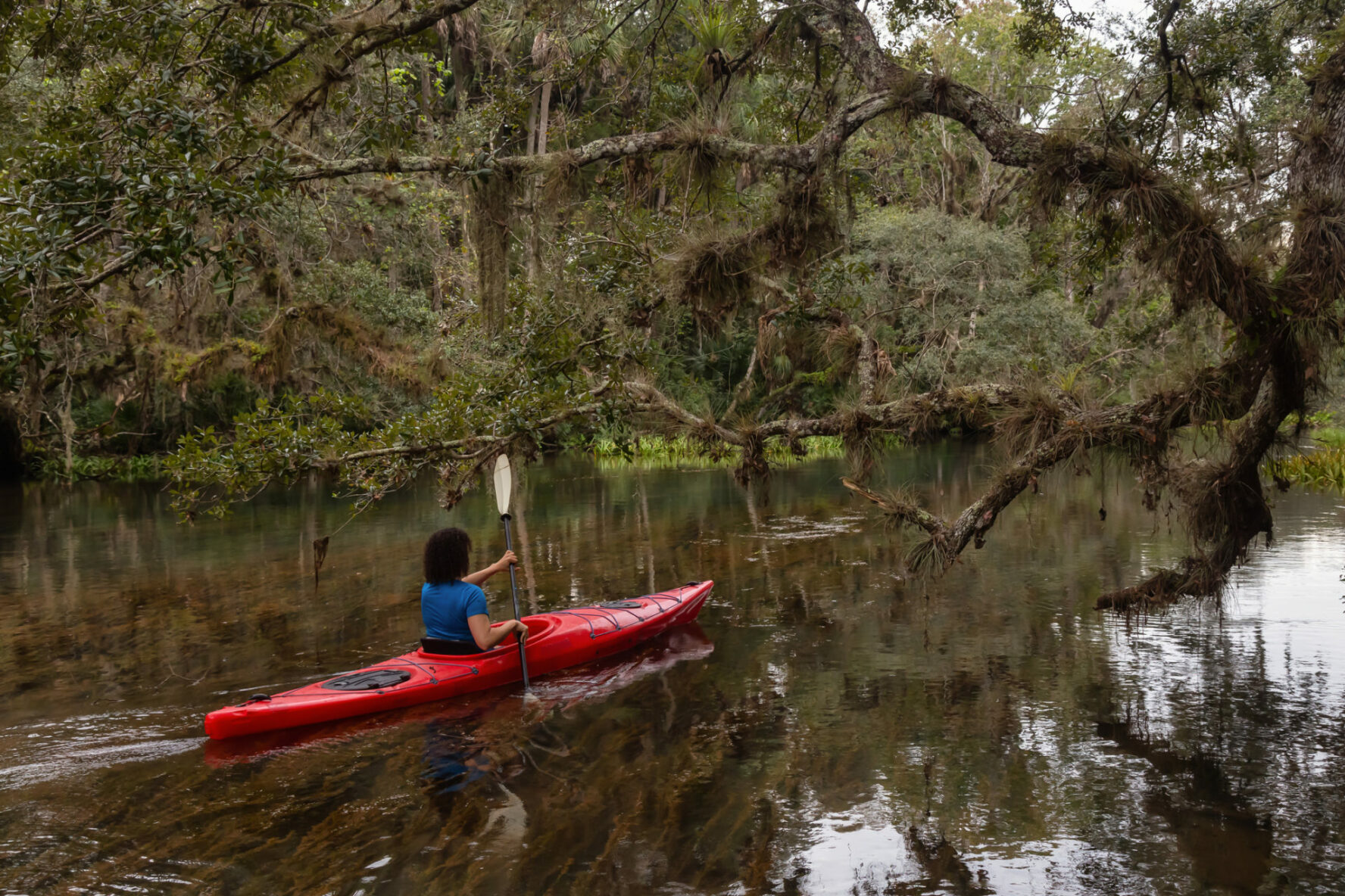 Kayaking in Chassahowitzka River