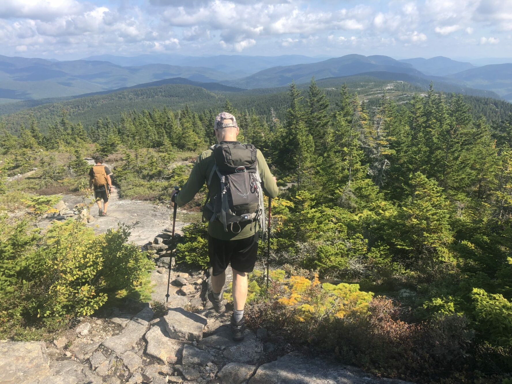 hiking trails at White Mountains