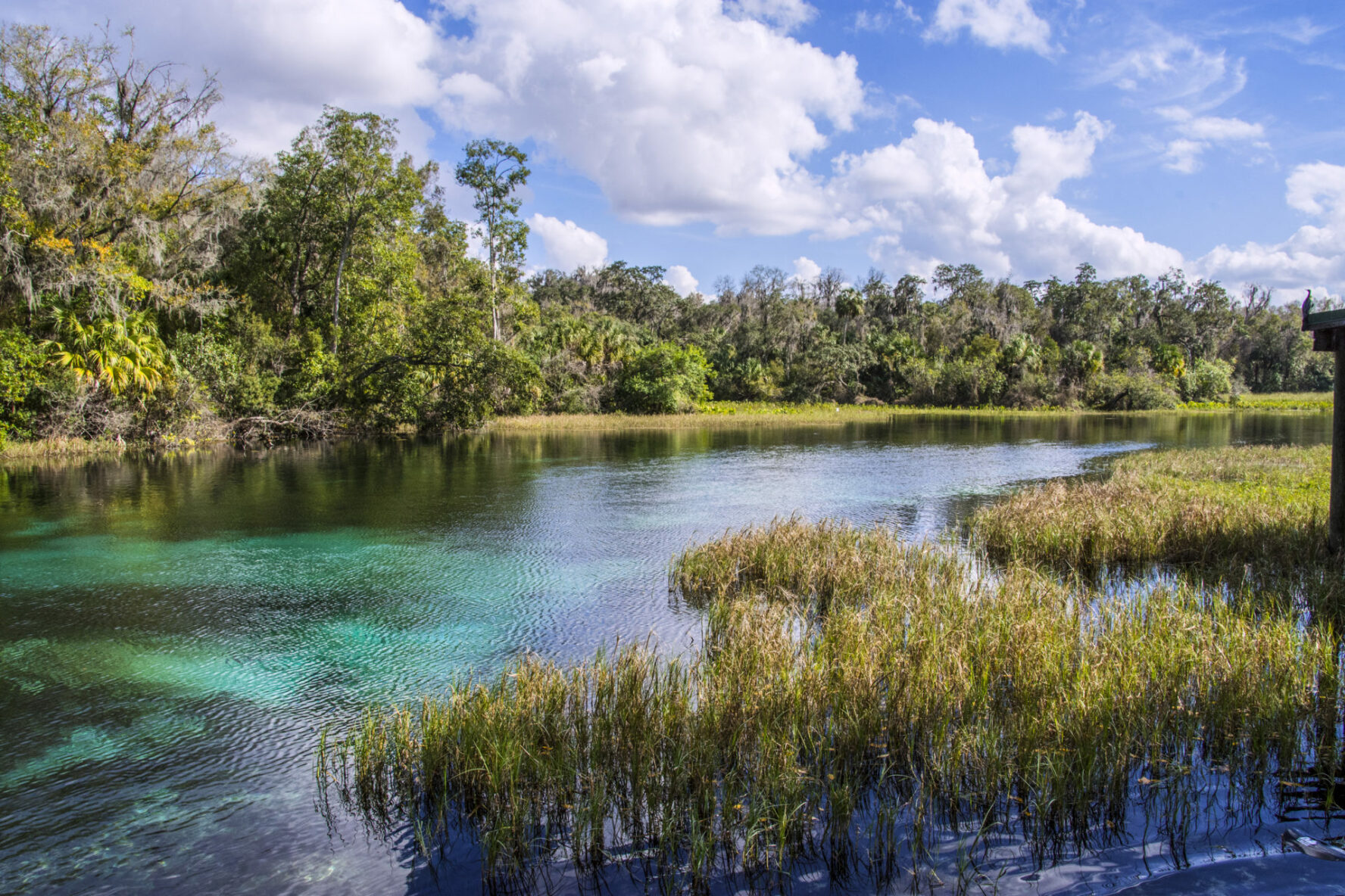 Rainbow River Florida