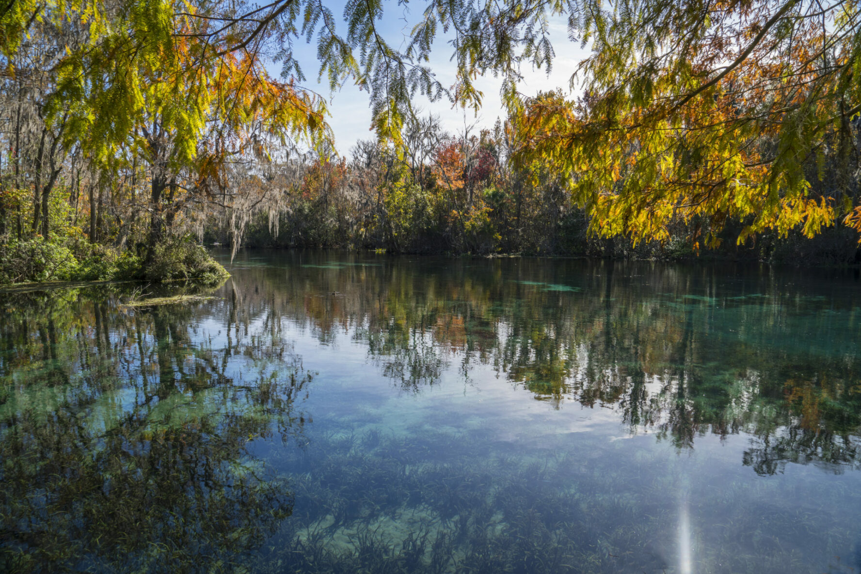 Silver River Florida