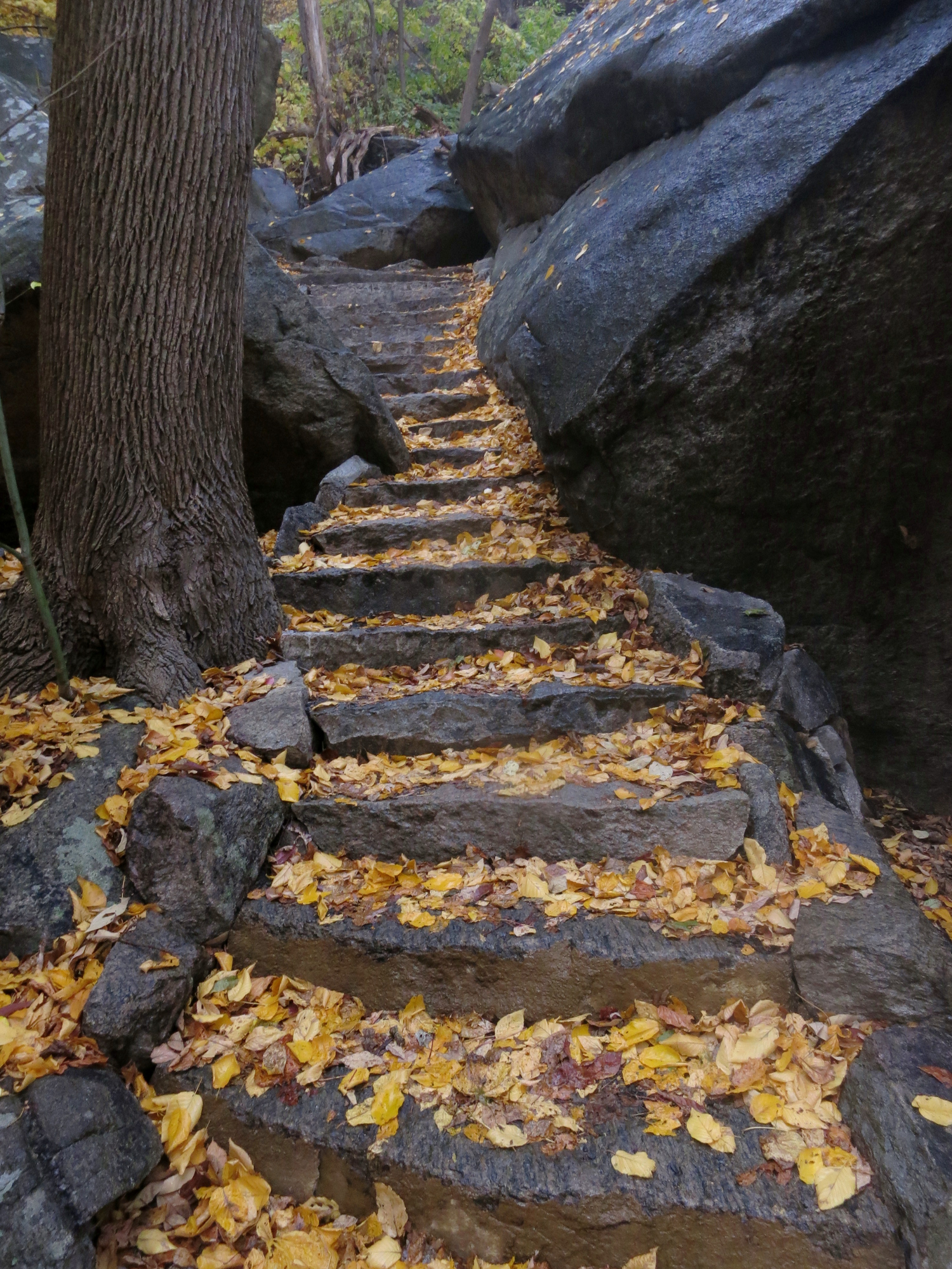 Stairs on Bear Mountain on the Appalachian Trail In New York