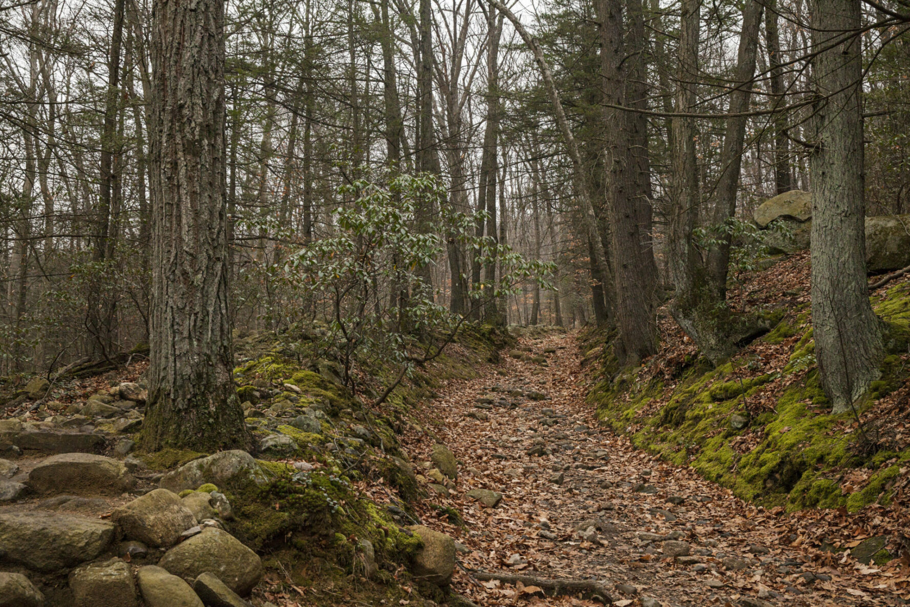 hiking trail in bear mountain state park
