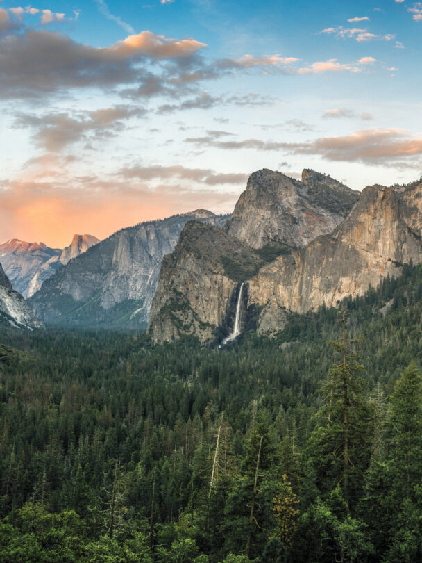 man enjoying hiking in gorgeous redwood park