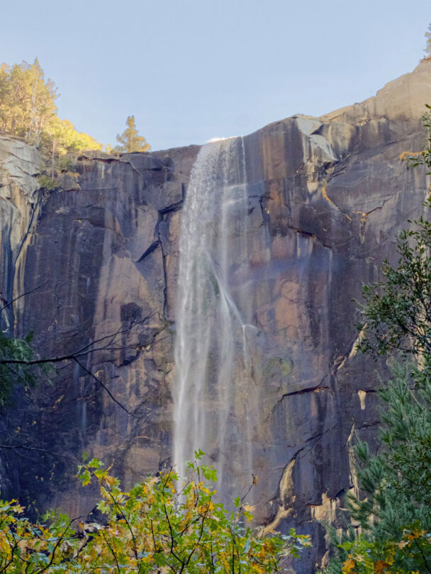 man enjoying hiking in gorgeous redwood park