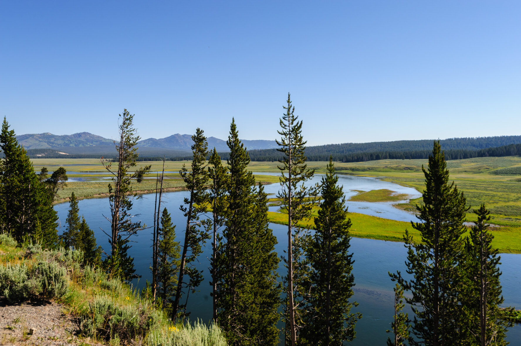 The floor of the Hayden Valley is the remnant of the ancient Yellowstone Lake bed.