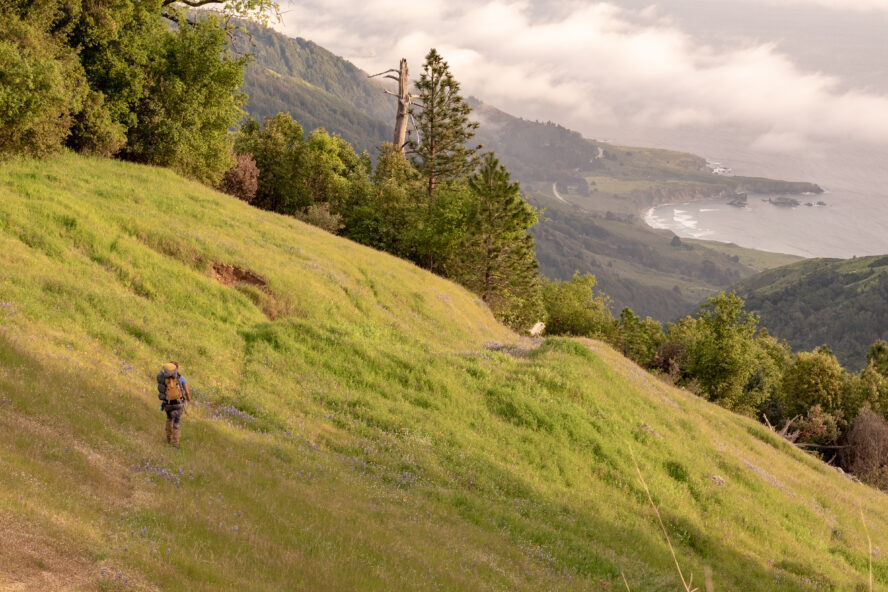 Los Padres National Forest