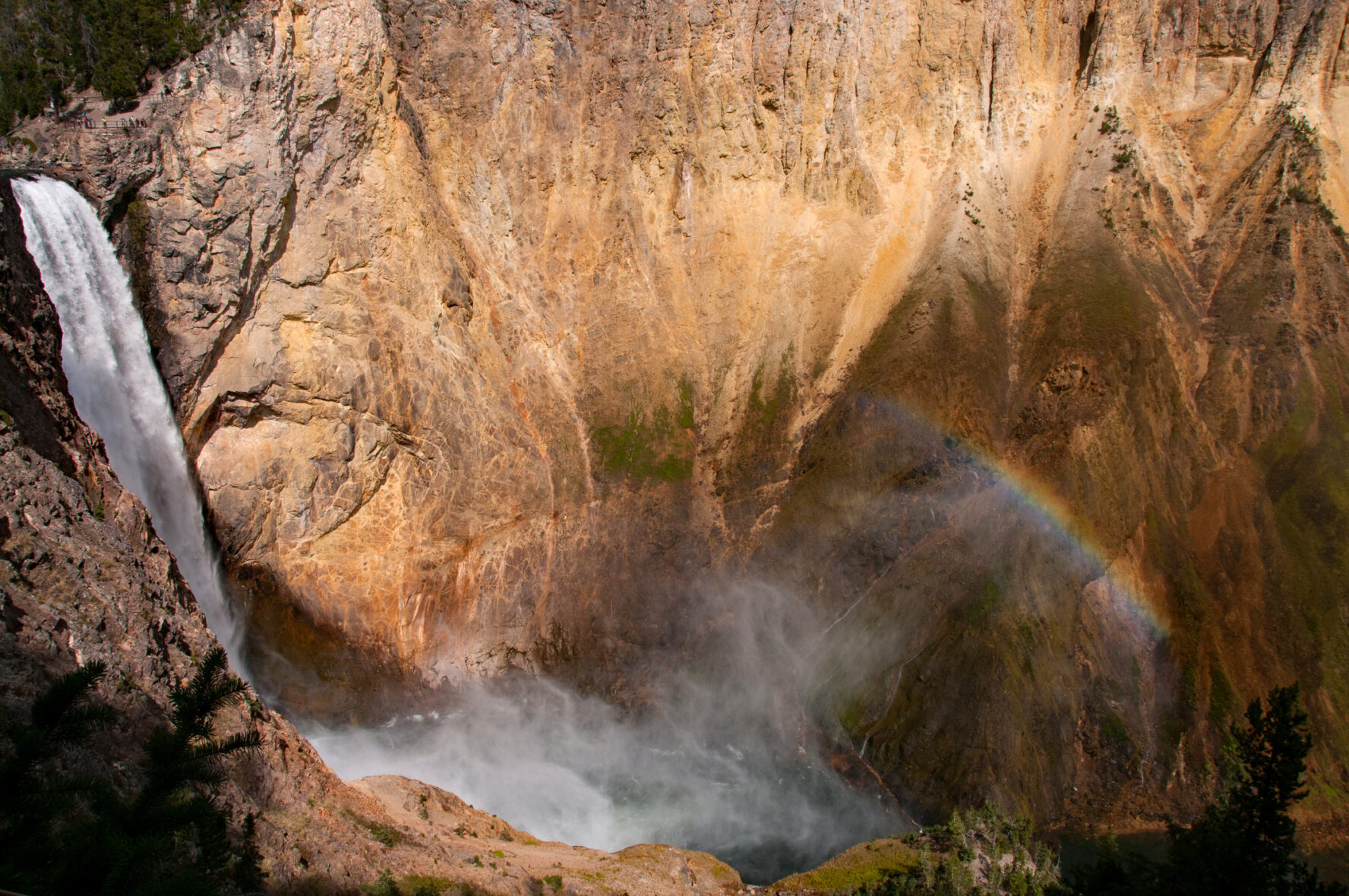 The view of the Grand Canyon of Yellowstone below the Lower Falls.
