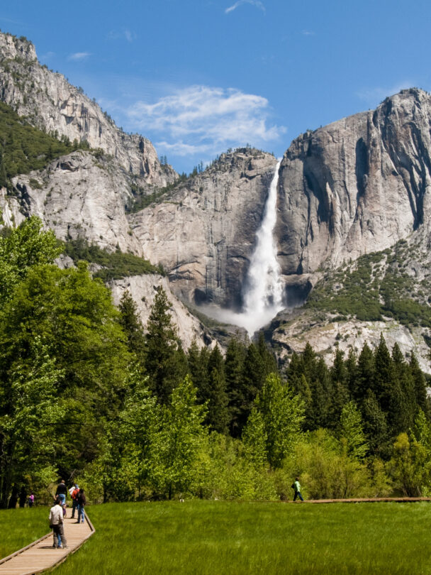 man enjoying hiking in gorgeous redwood park