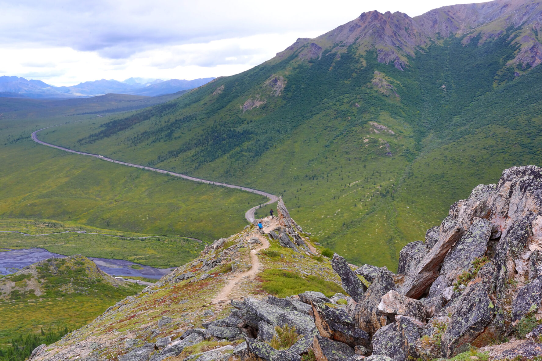 Rainy Denali National Park without Denali
