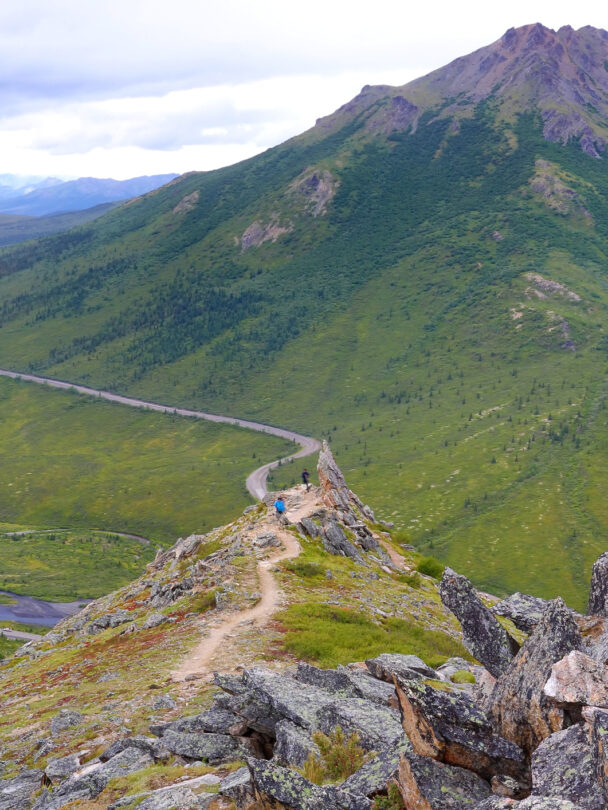 Hiking Tours in Denali National Park