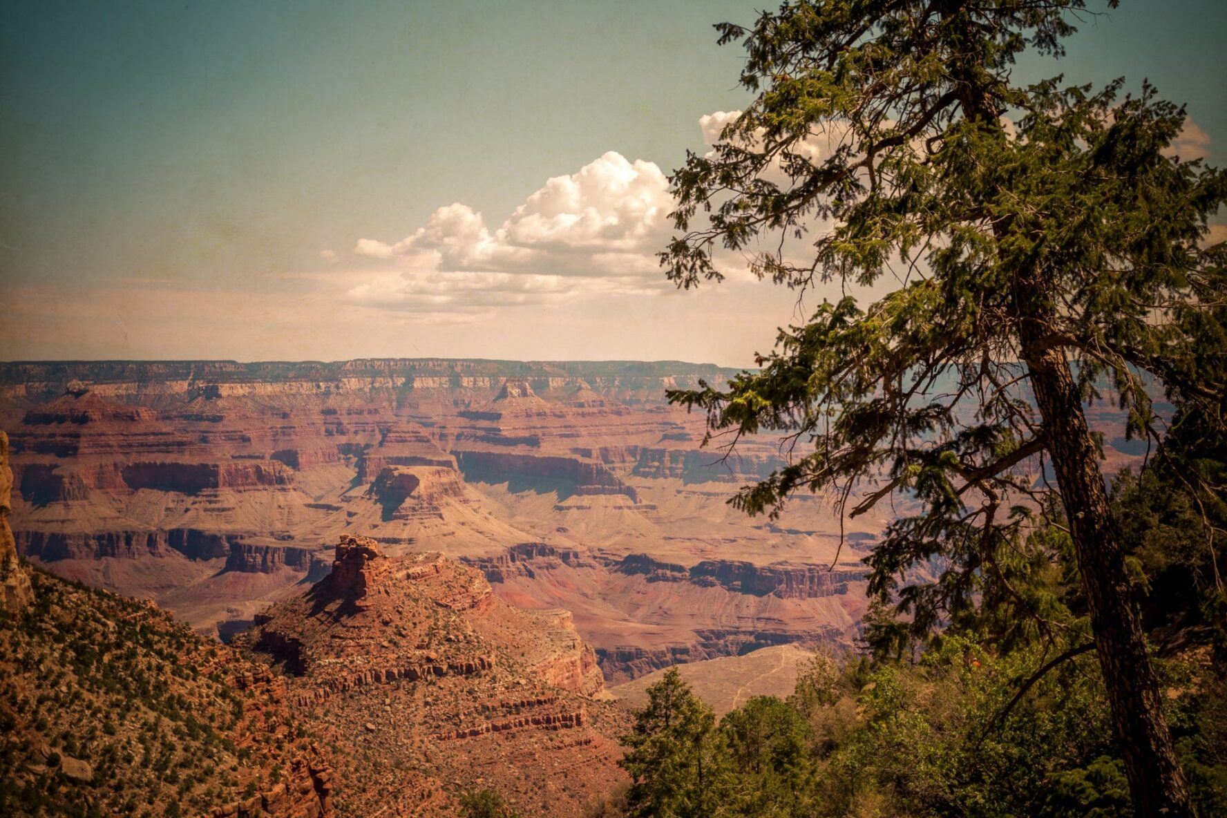 A view over the Grand Canyon from the North Kaibab Trail.