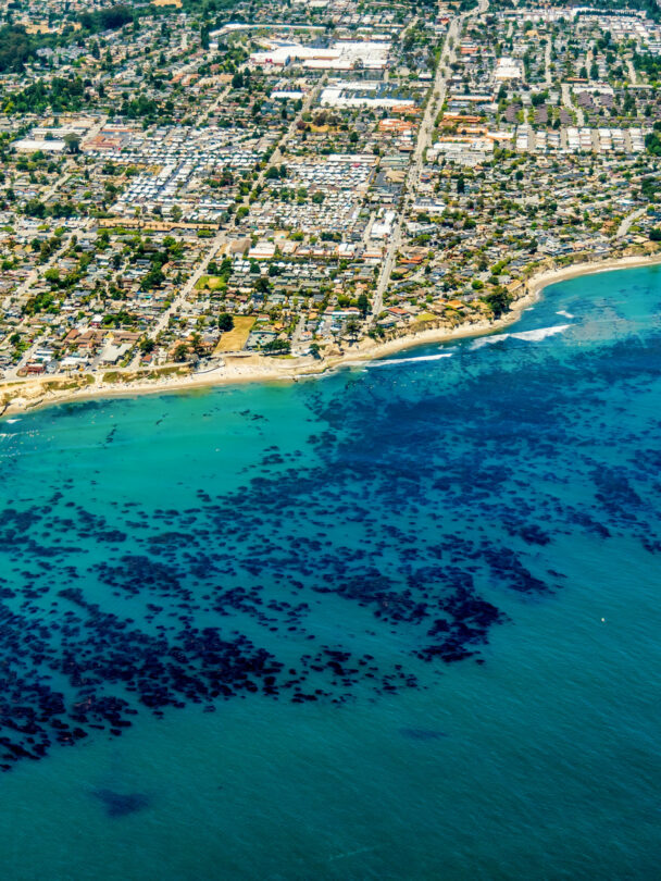 surfing in santa cruz