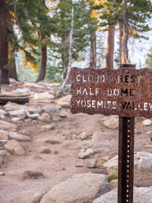 man enjoying hiking in gorgeous redwood park