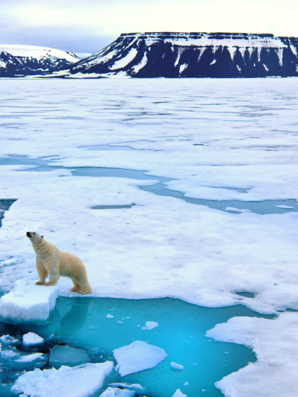 A city details of Longyearbyen - the most Northern settlement in the world. Svalbard . Norway.