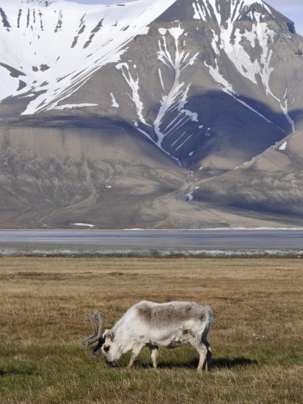 A city details of Longyearbyen - the most Northern settlement in the world. Svalbard . Norway.