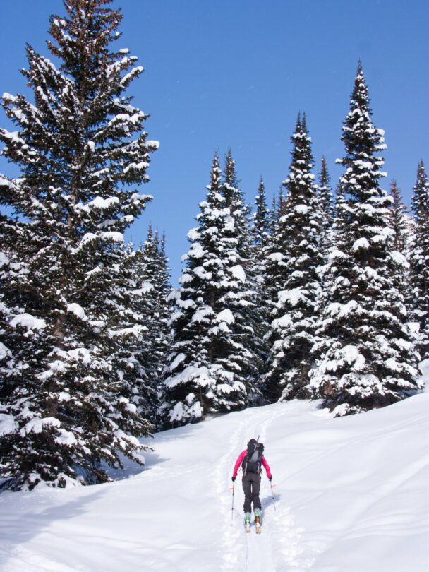 Backcountry Skiing in Grand Teton National Park