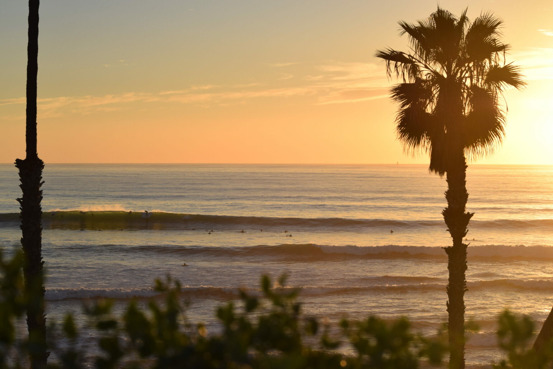 Sunset surfing in San Clemente.