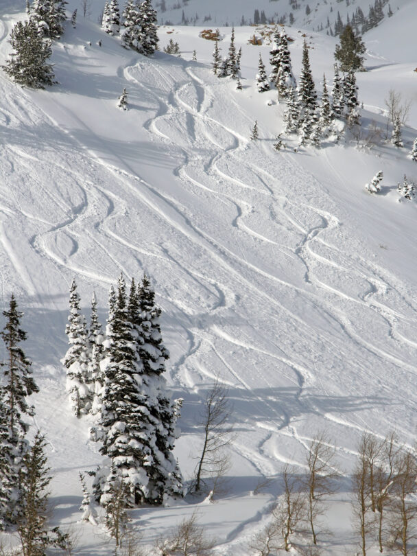 wasatch backcountry skiing routes