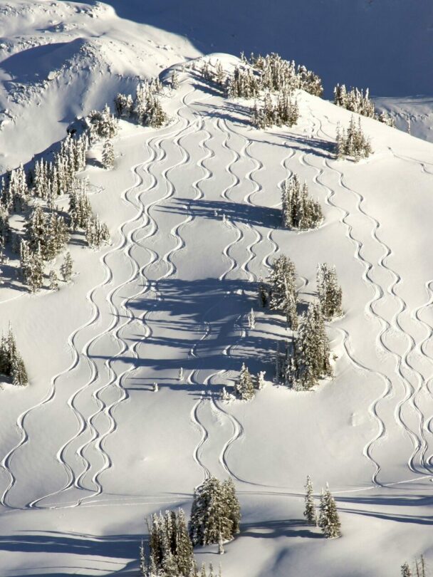 Backcountry ski with guides in Jackson Hole