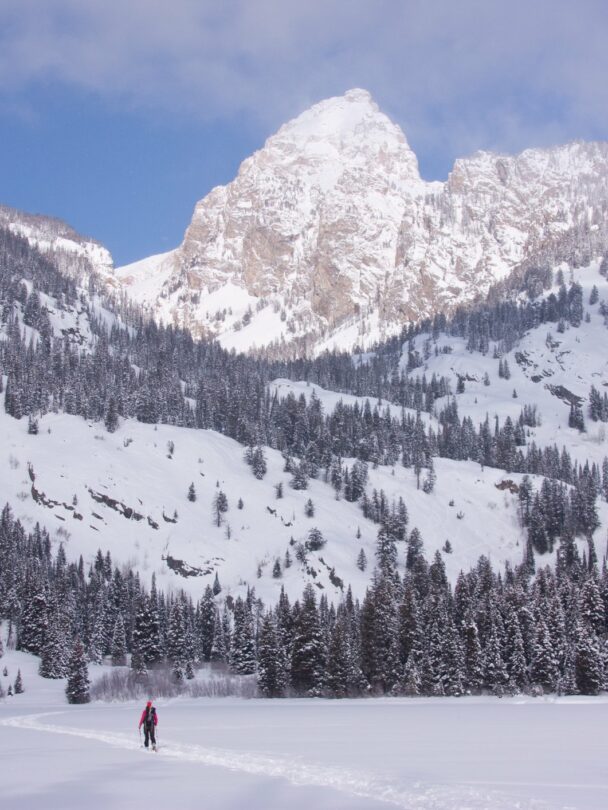 Backcountry ski with guides in Jackson Hole