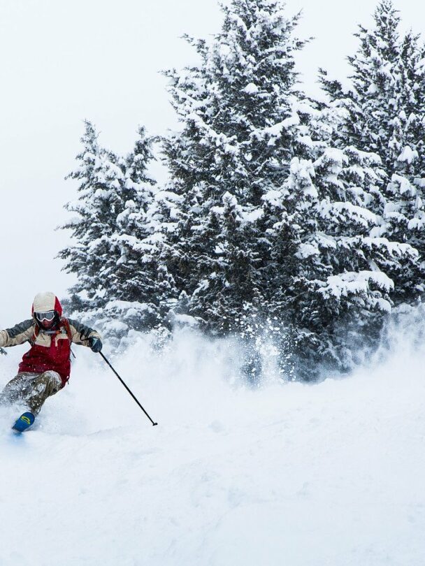 Backcountry ski with guides in Jackson Hole