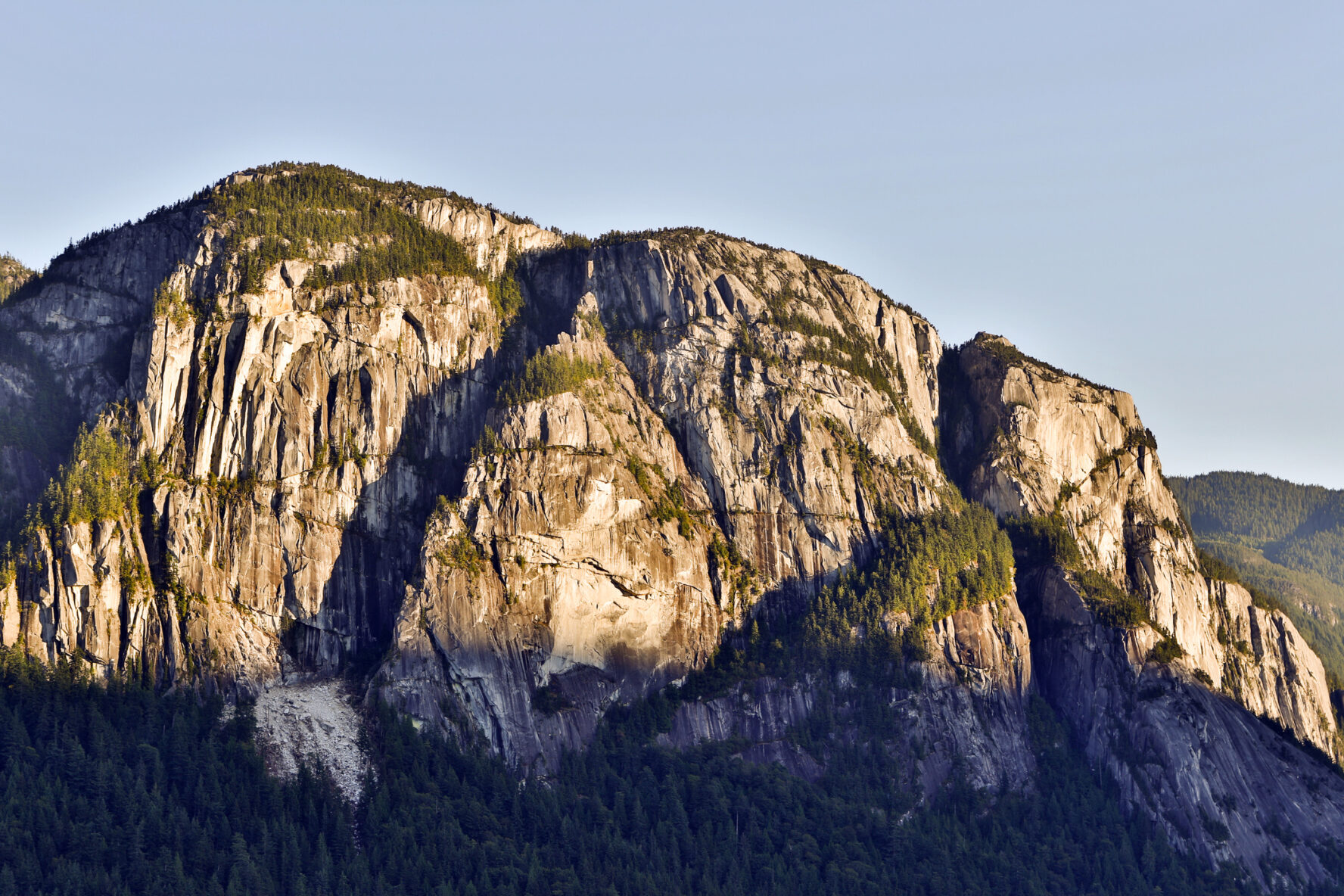 The chief Squamish