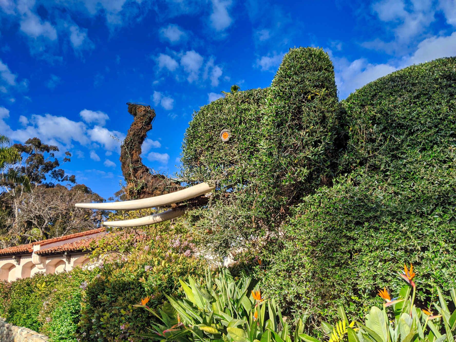 Balboa Park