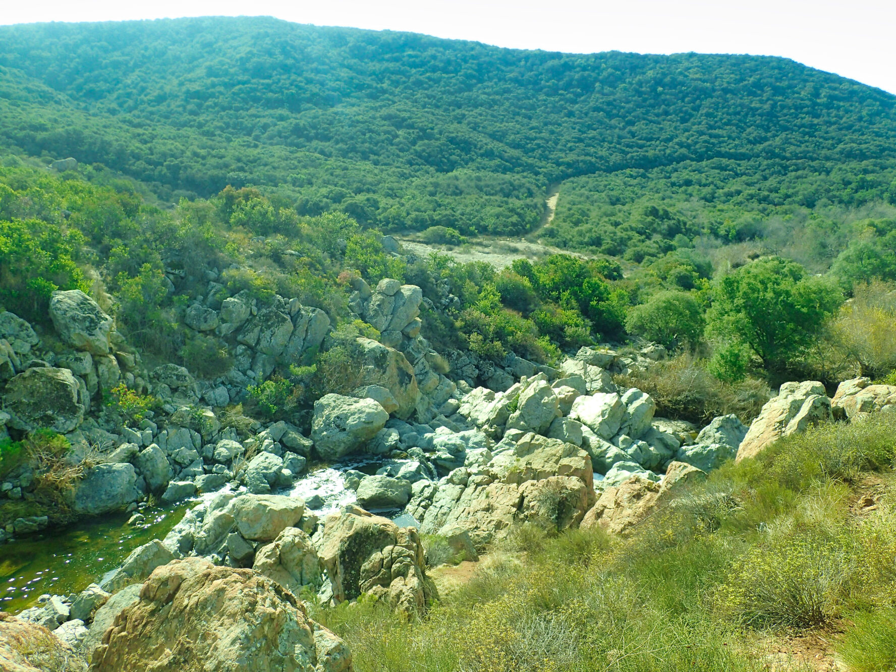 The “little cliffs” of the Los Penasquitos Canyon.