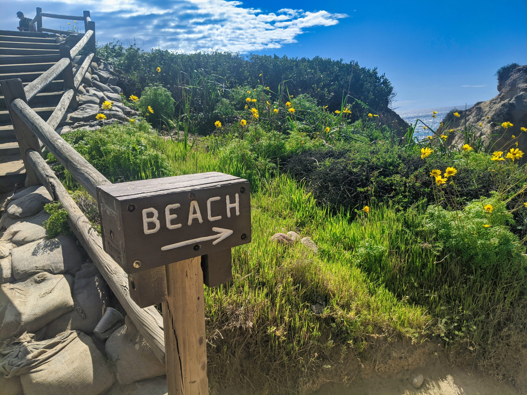 At the base of the stairs at the Torrey Pines, you’ll find a sign directing you towards the beach.