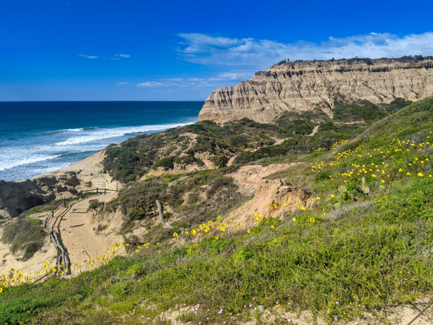The Torrey Pines loop is one of the most iconic hikes in the San Diego area.