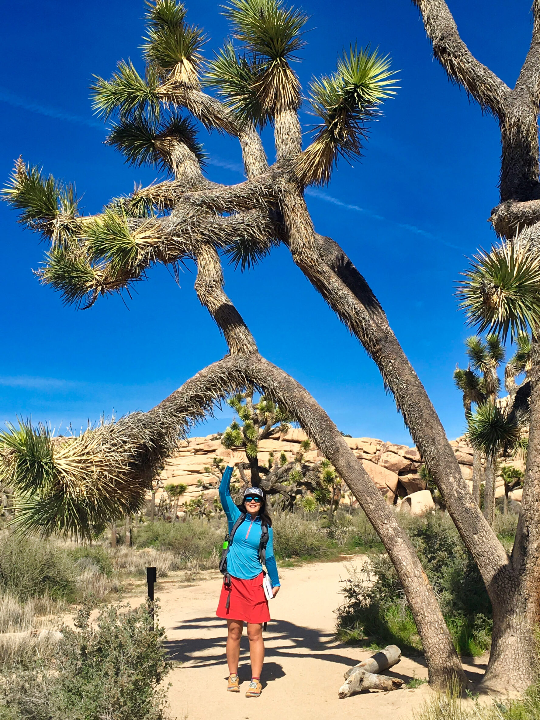 Joshua Tree hiking