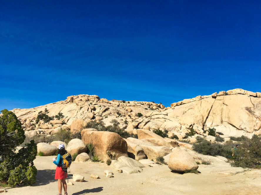 Joshua Tree hiking