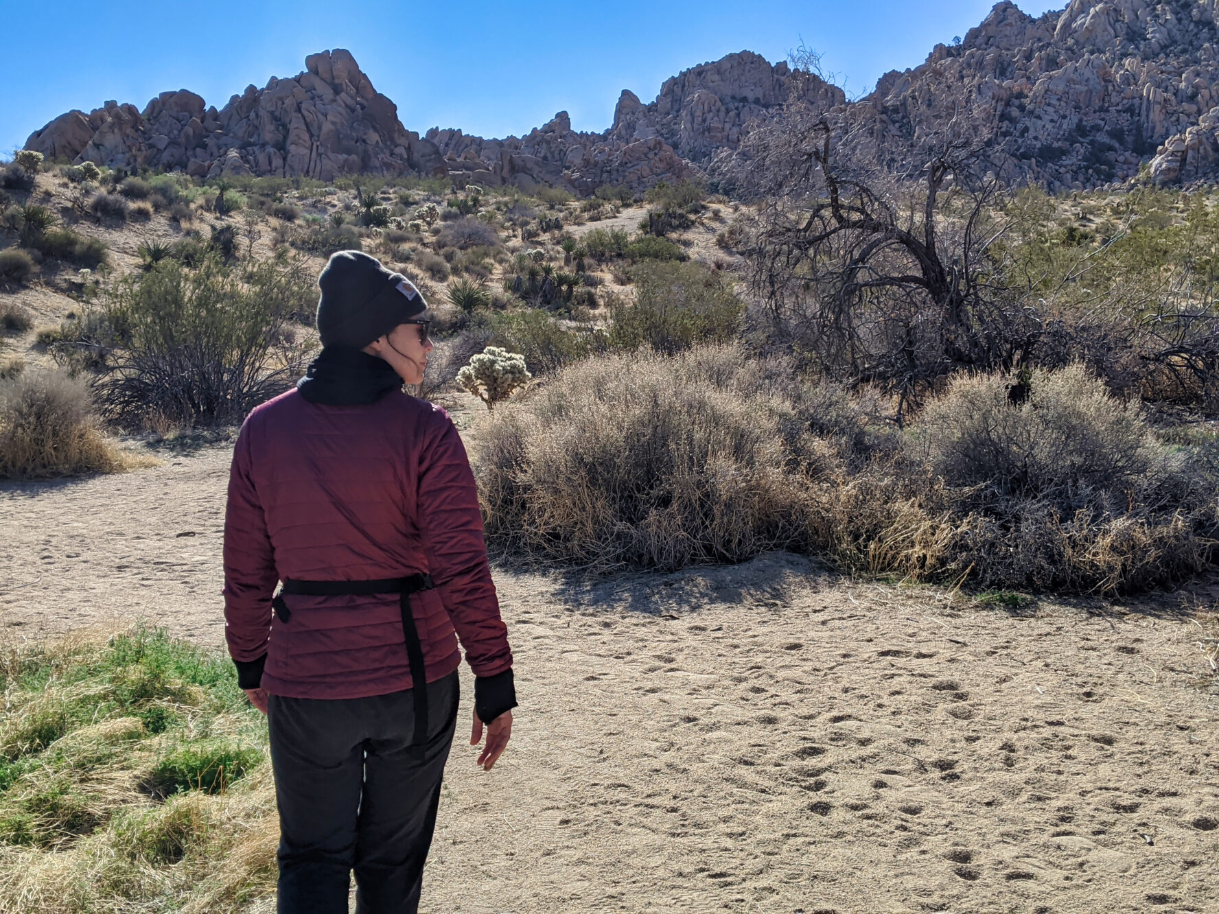 Joshua Tree hiking -Boy Scout Traill