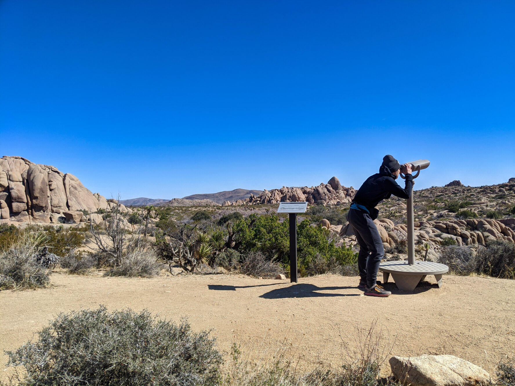 Joshua Tree hiking
