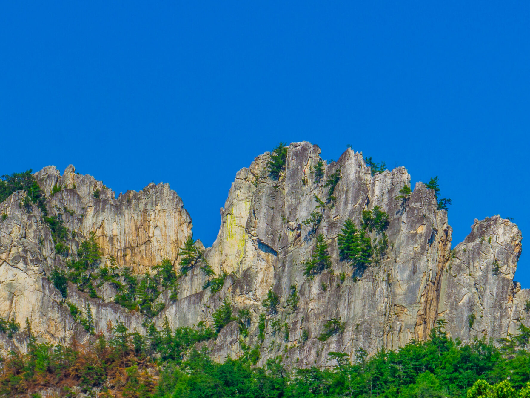 Seneca Rocks Cimbing