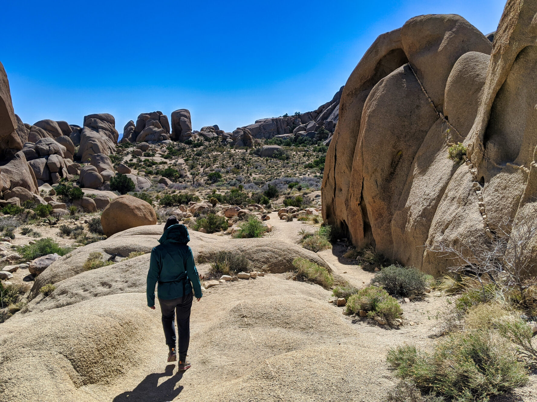 Joshua Tree hiking
