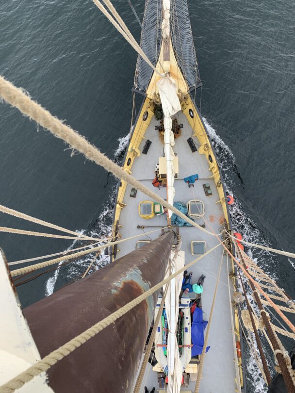 Svalbard - Backcountry Skiing and Sailing Adventure