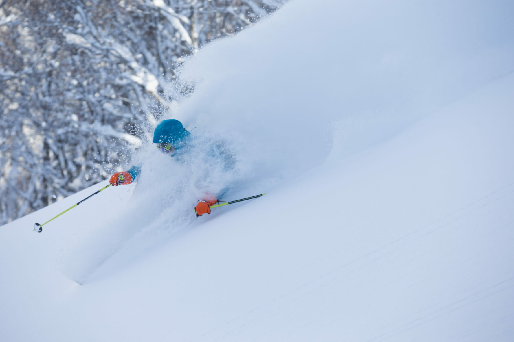 best powder on earth