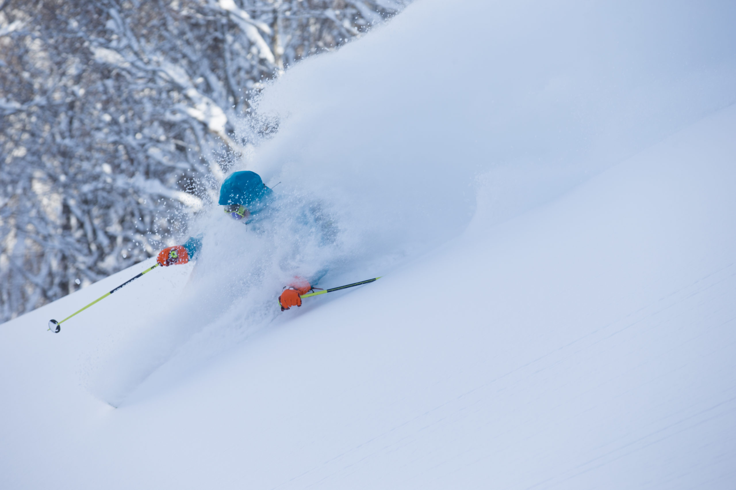 best powder on earth
