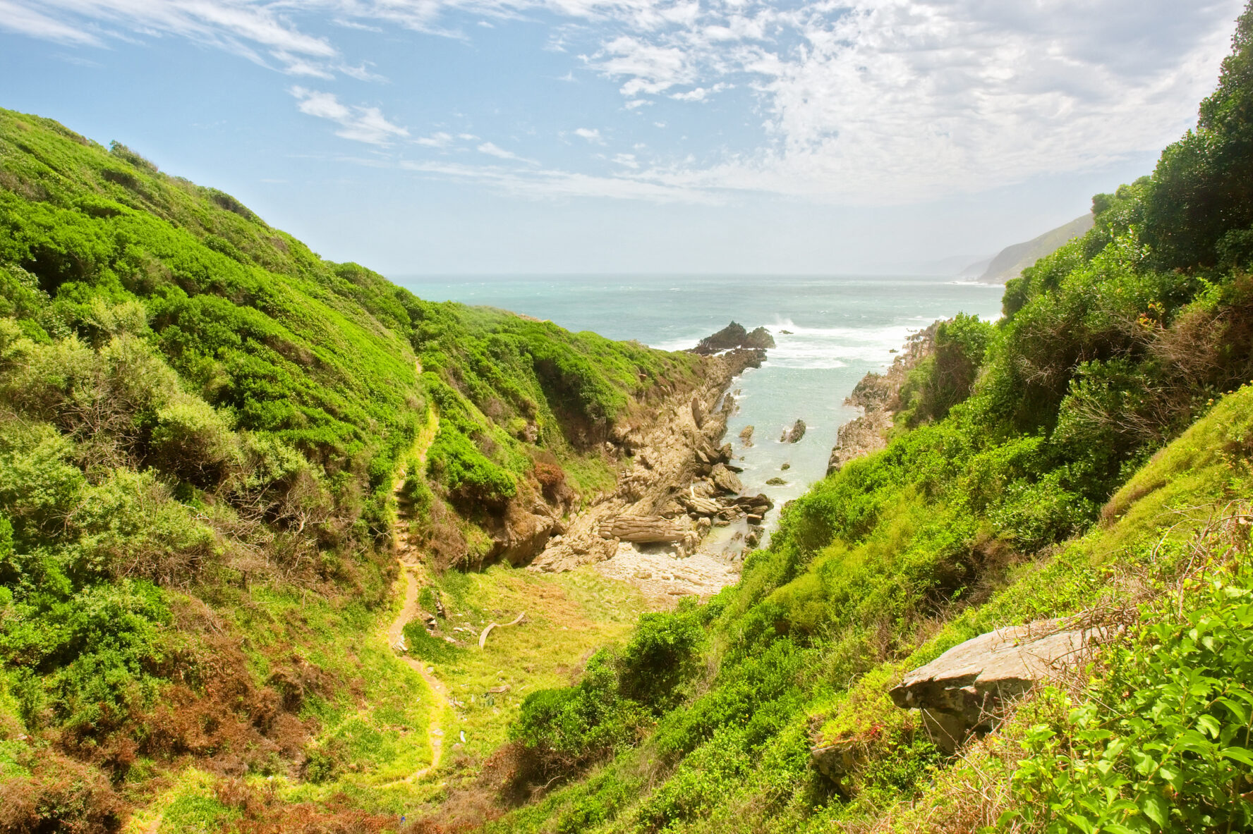 Otter trail South Africa