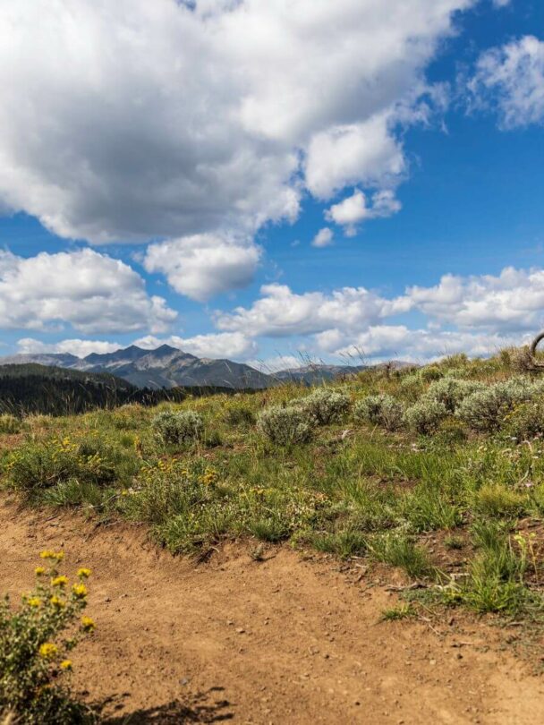 Mountain Biking in the Breckenridge Area