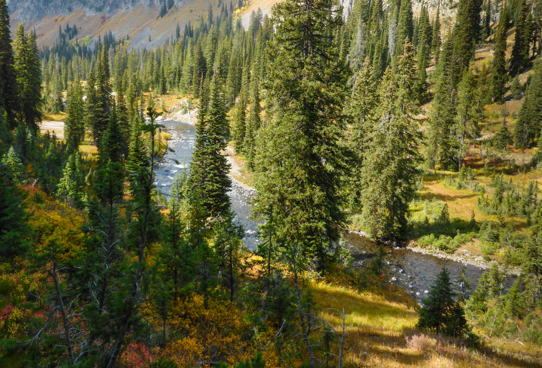 Bechler River Yellowstone