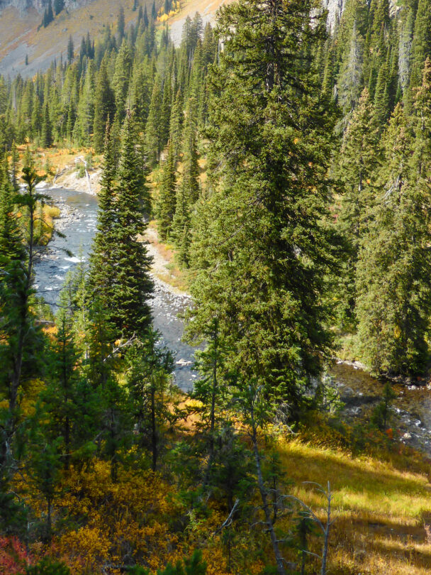 Bechler River Yellowstone