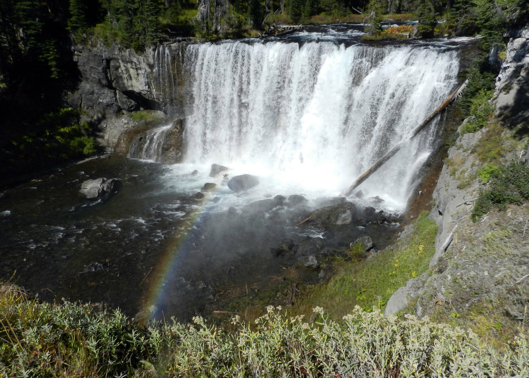 Bechler River Yellowstone