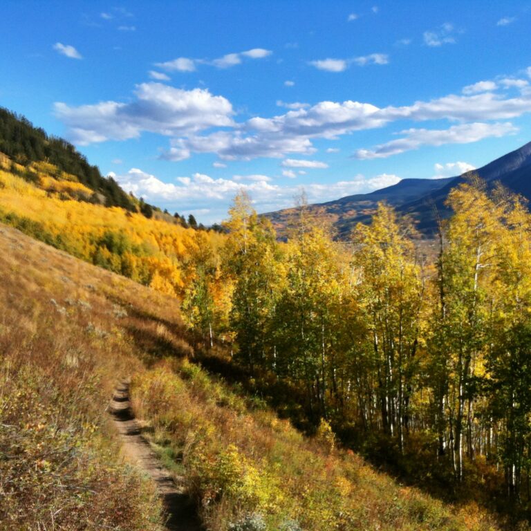 Crested Butte MTB