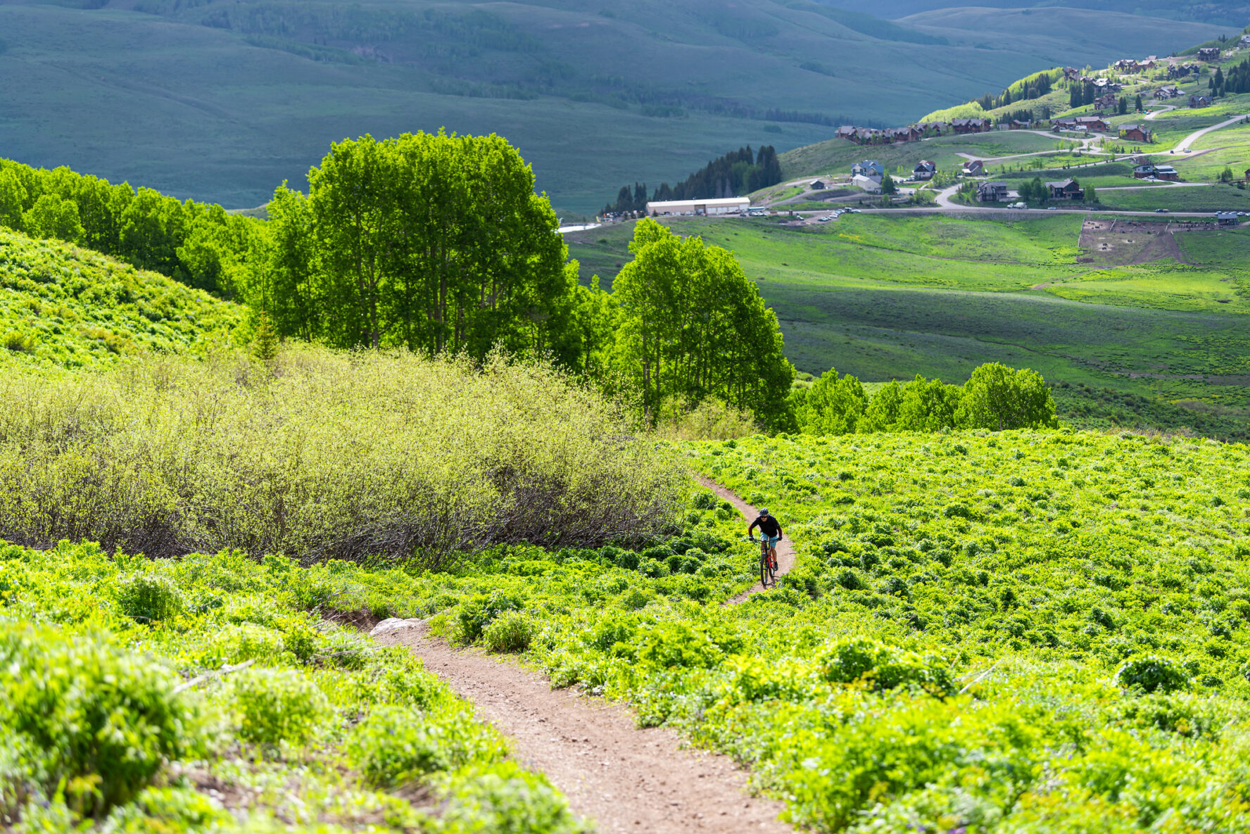Crested Butte MTB