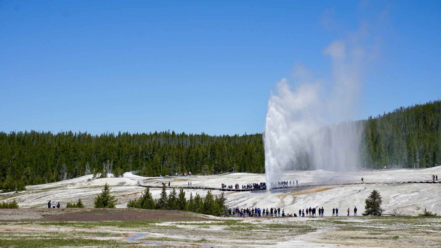 An erupting geyser in Yellowstone NP